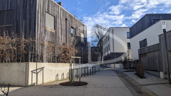 WhatsApp Image 2024-03-09 at 09.24.50 (2).jpeg